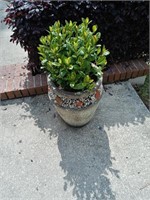 Potted Plant #910 15x35