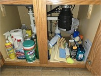Assorted cleaning supplies