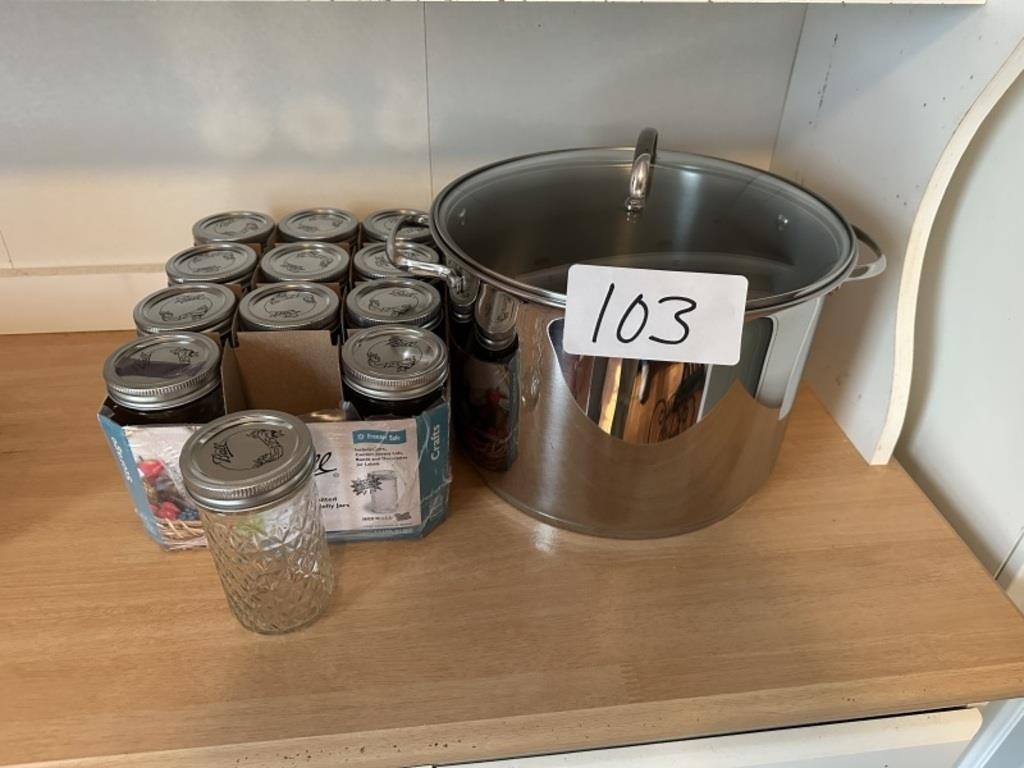 New Stock Pot & 12 Jelly Jars