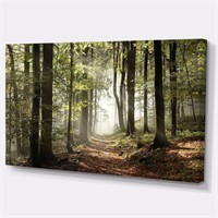 Art Wall Decor 'Green Fall Forest with Sun Rays'