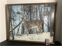 Framed Deer Picture 20"x17"