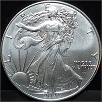 2024 1oz Silver Eagle Gem BU