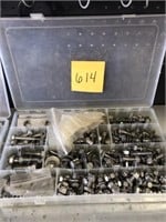 Container of stainless steel bolts
