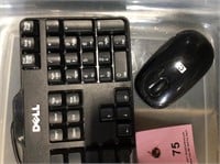Dell Keyboard with HP cordless Mouse