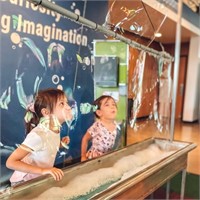 CAN SHIP: Four Tickets to Mobius Discovery Center