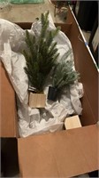 Box of trees