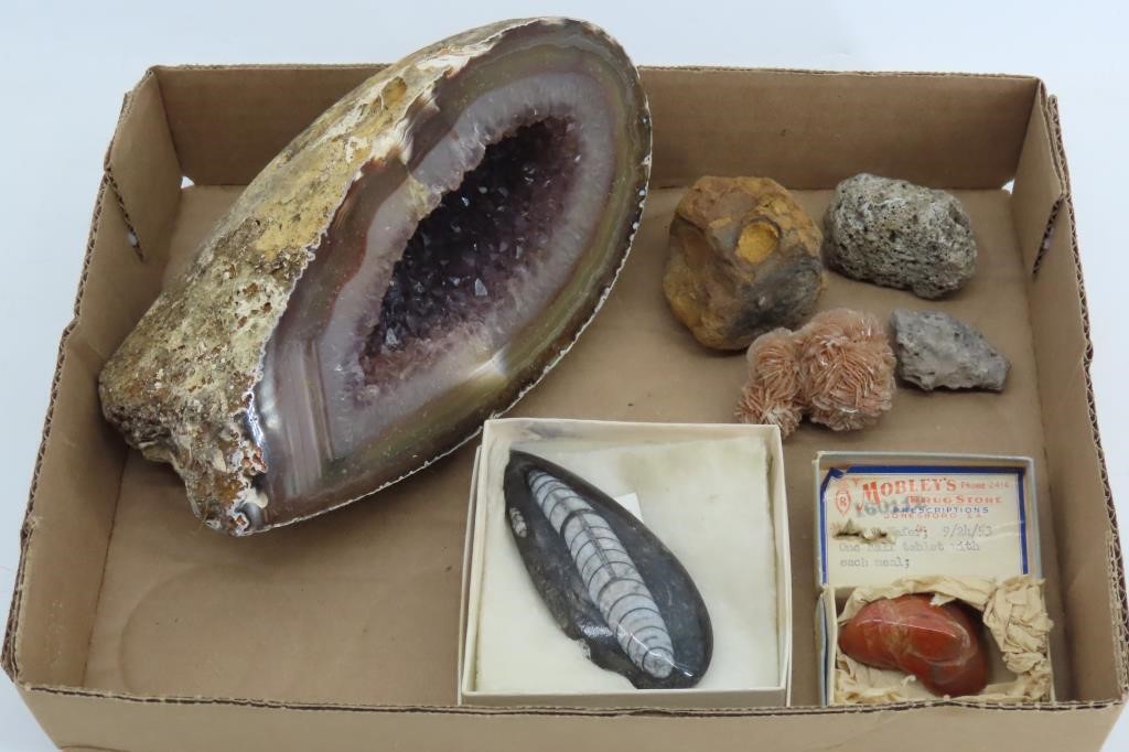 Fossil, Large Geode Half, Other Rocks & Minerals
