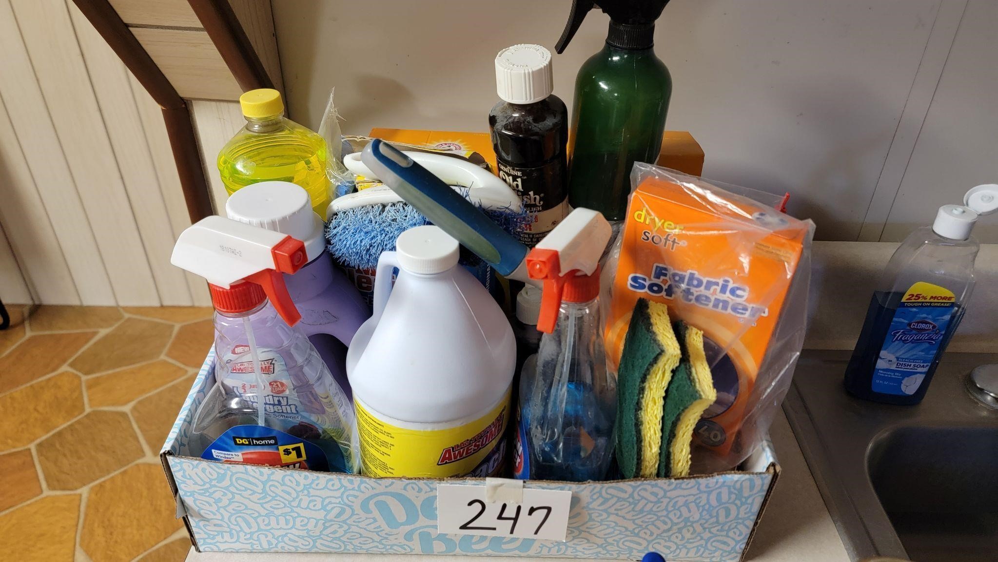 Cleaning Supply Box Lot