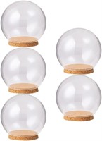 EXCEART Glass Cloche Display  5pcs  10cm