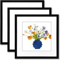 22x22" Black Frame  Display Picture 18x18  3 PCS