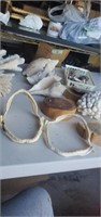 Large lot of sea related items conchs Coral