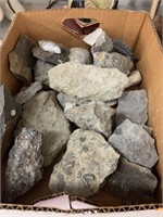 Assorted Fossil Rocks