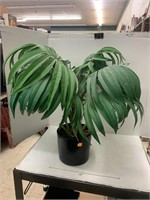 Artificial Plant