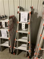 Little Giant Model 22 Aluminum Ladder