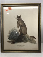 ART:  Ray Harm, California Ground Squirrel, Signed