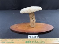 Mushroom Coral Tree