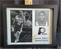 Autographed Jamaal Tinsley Indiana Pacers