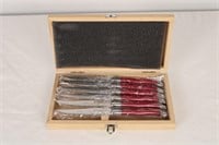SIX PIECE SET OF LAGUIOLE  KNIVES IN CASE