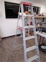 Werner 6 ft aluminum ladder
