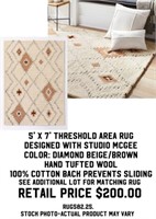 5' x 7' Threshold Area Rug