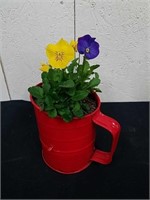Vintage 6 in sifter with pansies