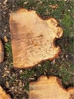 5- Maple Burls