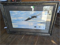 Large Eagle print picture (approx 48" x 31")