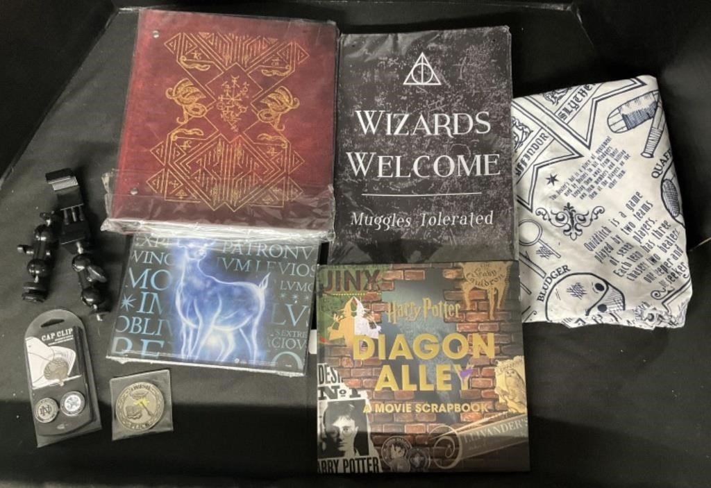 Harry Potter Scrapbook & Pillowcase.