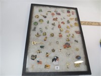 Display case of 60 colorful pins