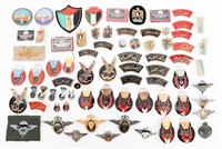 COLD WAR MIDDLE EAST PARATROOPER MILITARY INSIGNIA
