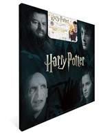 Harry Potter 2020 Calendar: Includes 2 Posters