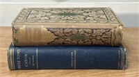 Antique David Copperfield/uncle Tom's cabin books