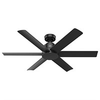 Hunter Fan Company Kennicott Outdoor Ceiling Fan,