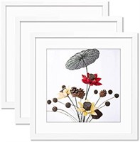 THREELOVE 20x20 Frame White, Display Picture