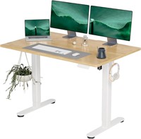 48x24 Electric Standing Desk  Wood/White