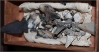 SELECTION OF SHARK TEETH AND MORE