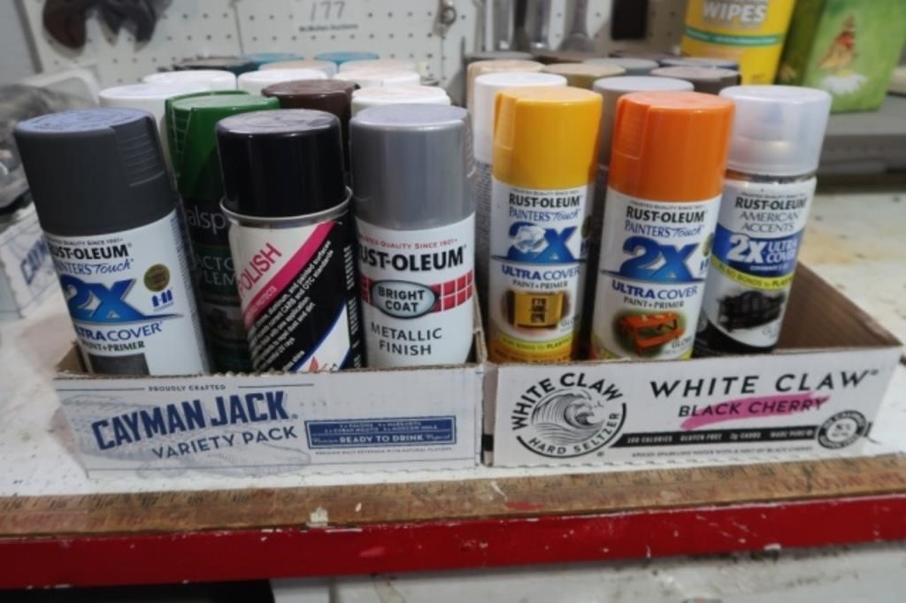 MISC SPRAY PAINTS & FINISHES