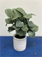 4-PACK THRESHOLD ARTIFICIAL MINI MOSAIC PLANT