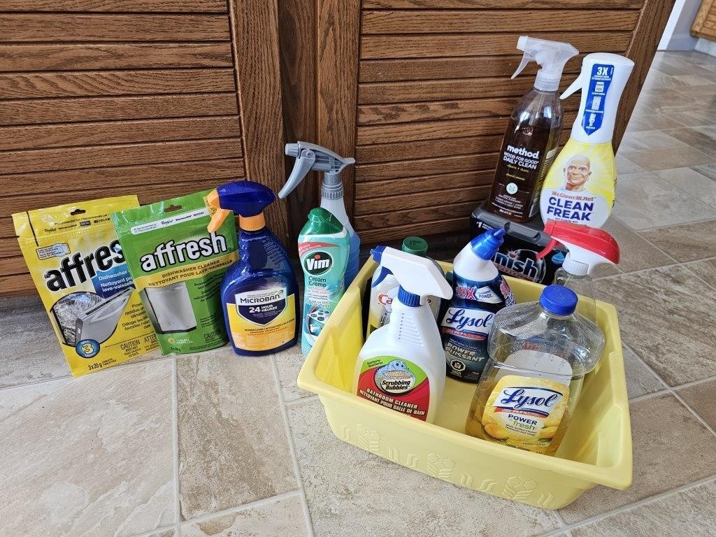 Assorted Cleaning Supplies