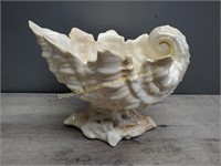 Conch Shaped Bowl