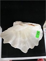 Large clam shell filled with decorative shells