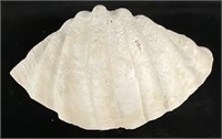 Half Clam Shell large