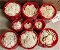 1000s of Sand Dollars in several buckets