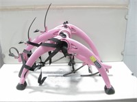 Saris Pink Cancer Research Bike Rack