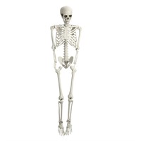 Halloween Life Size Skeleton, 5.4FT Skeleton Decor