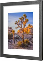 A PLUS MAX 20x24 Frame, Black 20x24 Inches Picture