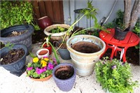 POTS, PLANTS & STANDS