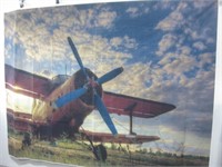 98"x 71.5" Plane Tapestry