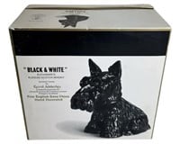 Royal Adderley Black White Scottish Terrier
