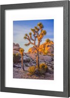 $39  A PLUS MAX 20x24 Black Frame  Matted 16x20